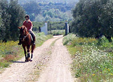 Spain-Southern Spain-Dos Olivos Dressage Clinics